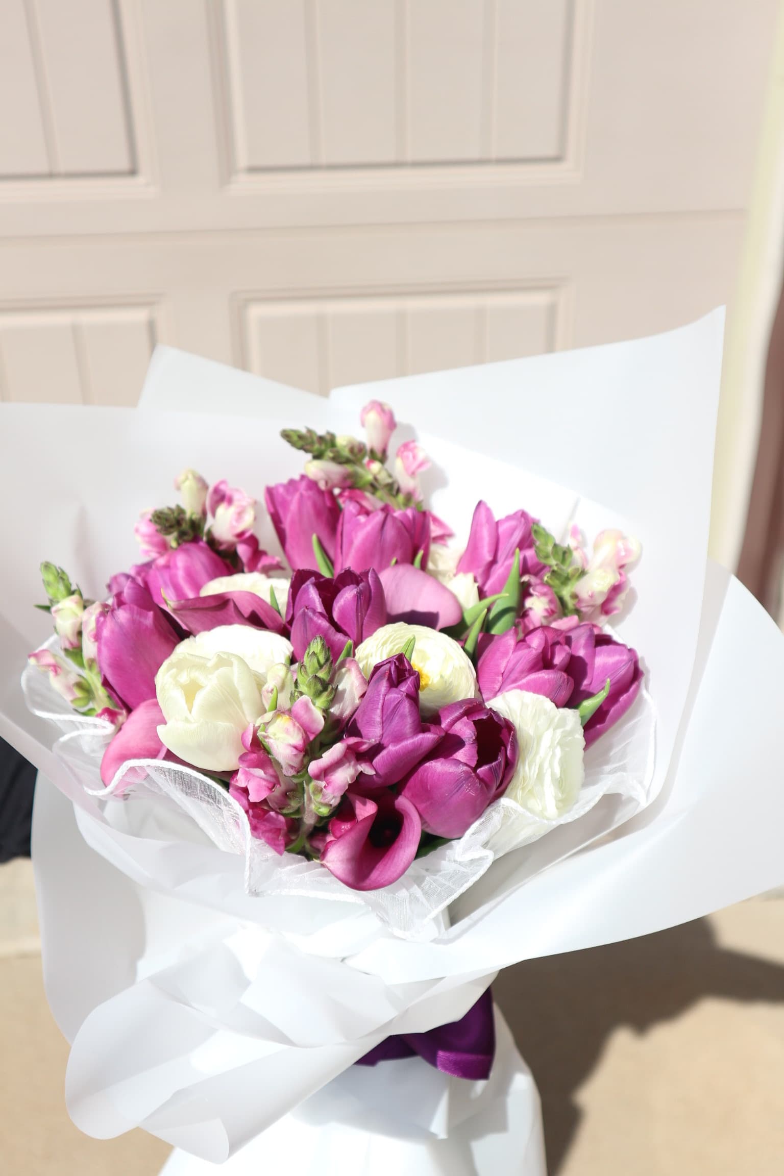 Wrapped bouquet of magenta tulips, pink calla lilies, snapdragons and white ranunculus in white paper
